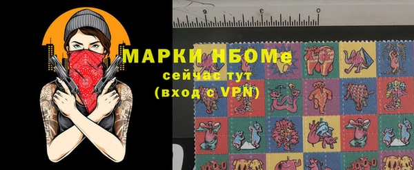 ГАЛЛЮЦИНОГЕННЫЕ ГРИБЫ Верея