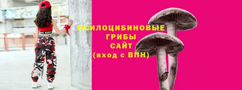 Псилоцибиновые грибы MAGIC MUSHROOMS  где можно купить наркотик  Тарко-Сале 